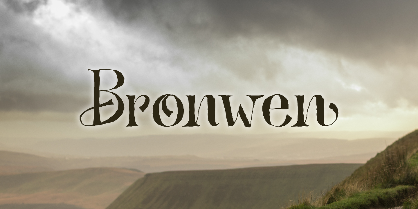 Download Bronwen DEMO font | dafonttop.com