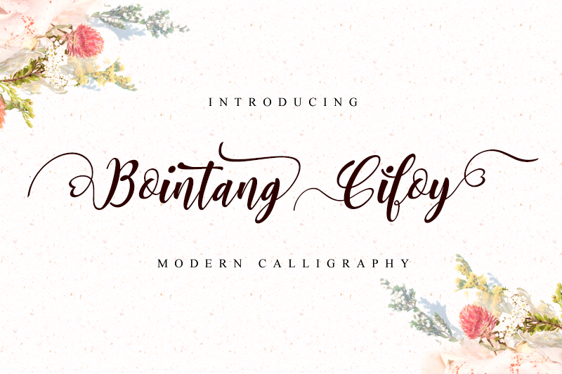 Download Bointang Cifoy font | dafonttop.com
