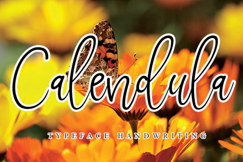 Download Calendula font | dafonttop.com