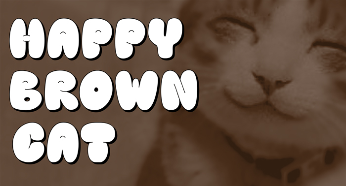 Download Happy Brown Cat Font Dafonttop